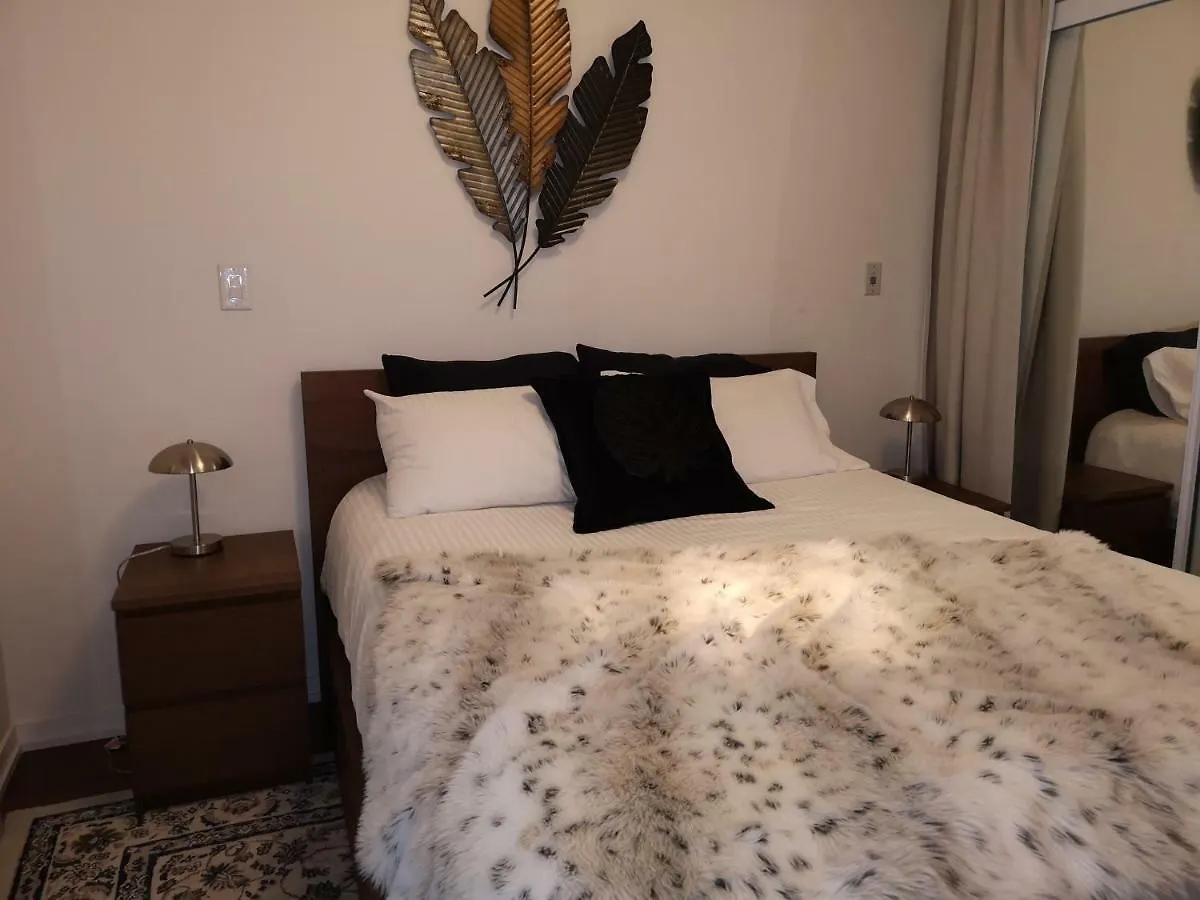Downtown Toronto Condo